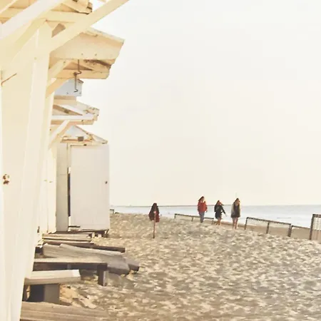 Apartmán In Near The