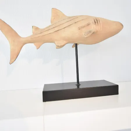 In Near The * De Haan