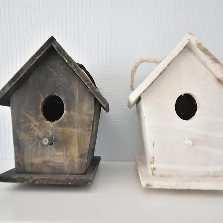 In Near The Apartament *